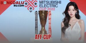 AFF Cup: Hành Trình Và Thành Tích Của ĐT Việt Nam