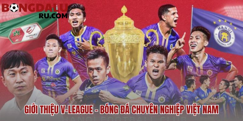V-League là gì thể thức thi đấu & các clb nổi bật tại giải